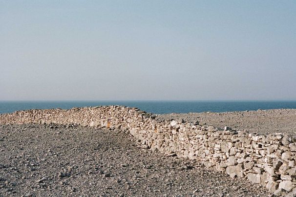 Faro4