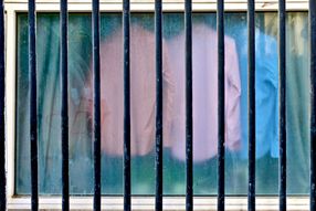 FelonFenestration