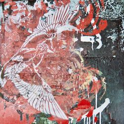 PaintedBird