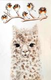Alpaca med rødhalse