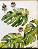Brune fugle på monstera 1