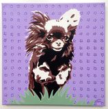 Chihuahua Ellie