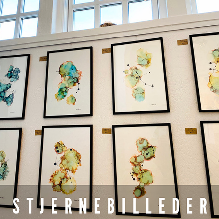 stjernetegn zodiac sign