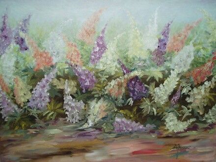 Lupiner 60x80 cm