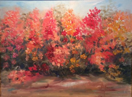 Orange rød sået blomster 30x40 cm