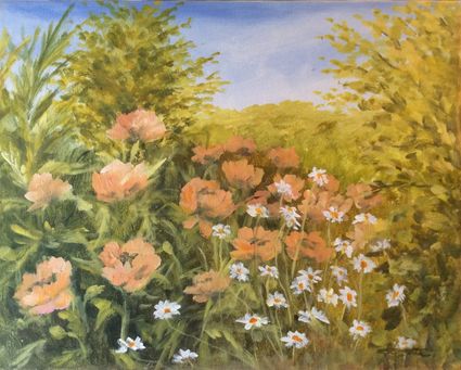 Valmuer ca 40x80 cm - Privat eje