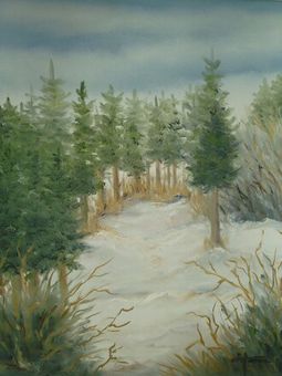 Vinter 50x40 cm