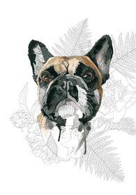 Hund