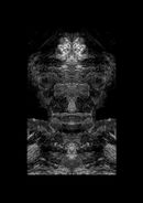 Fine Art Photography