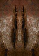 Fine Art Photography