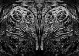 Fine Art Photography