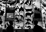 Fine Art Photography