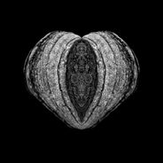 Fine Art Photography