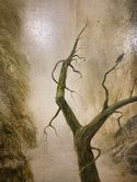 French artists Marc Desmullier