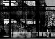 Fine Art Photography