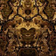 Fine Art Photography