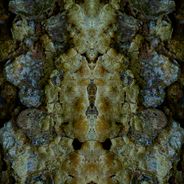 Fine Art Photography