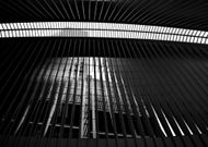 Fine Art Photography