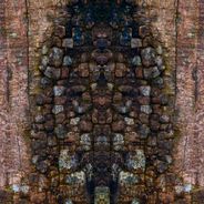 Fine Art Photography