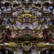 Fine Art Photography