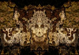 Fine Art Photography