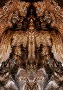 Fine Art Photography