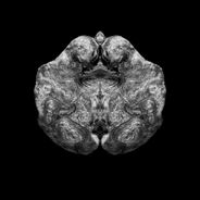Fine Art Photography