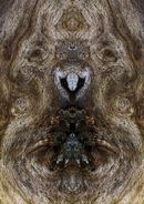 Fine Art Photography