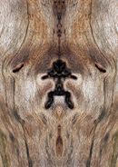 Fine Art Photography
