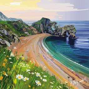 Daisies at Durdle Door