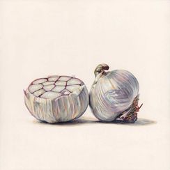 Soft Garlic