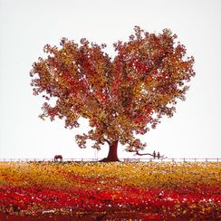 Autumn Time Under The Tree