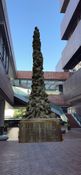 HongKong_HKU_1