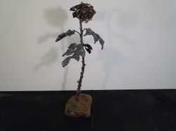 rose-to-imprissoned-woman