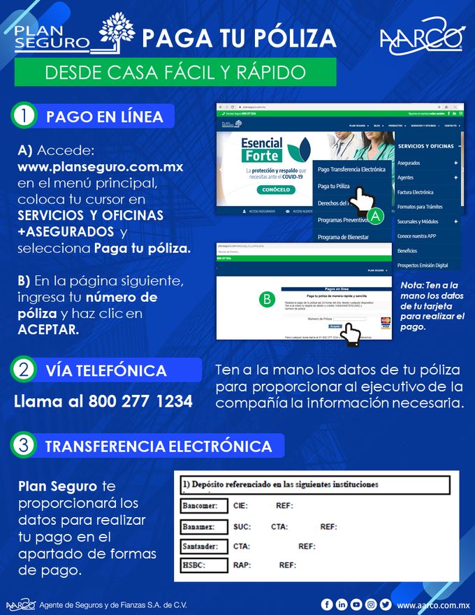 PLAN SEGURO