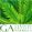 Logo de Gardens Artists Marbella