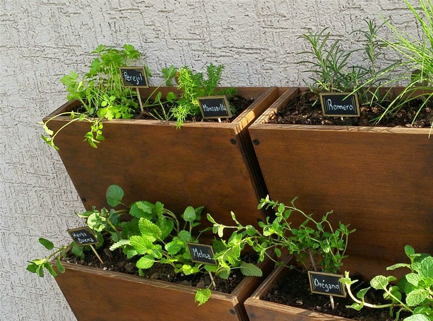 (Cod. HV4B) Huerto Vertical de 4 Bandejas (8 plantas a Elección) Instalación GRATIS en RM, medidas 75cm de ancho x 43cm de alto. Valor $50mil.  Contacto +56999390065