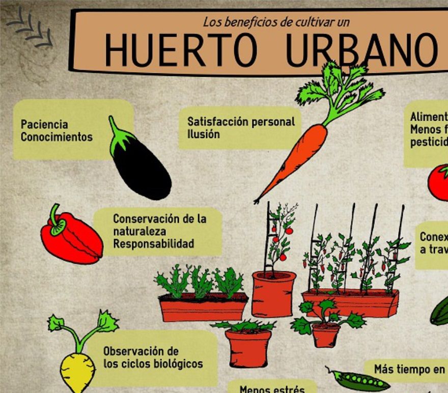 Ante la amenaza de alimentos genéticamente modificados, escasez de alimentos y aumento de precios, una de las tendencias verdes, que se han vuelto muy populares en las grandes ciudades, son los huertos urbanos. Ya sea en el patio, en un rincón de la terraza o en un apartamento, se pueden cultivar alimentos que suplan nuestras necesidades alimentarias.Estas iniciativas tienen distintos orígenes, según los países. En Alemania, la iglesia puso a disposición de los habitantes, pedazos de tierra para cultivar, esto para luchar contra el alcoholismo y el sedentarismo. En Francia, tras la revolución, los municipios donaron huertos fiscales, para que los pobres lucharan contra el hambre. Después, en Suiza, se combinaron estas dos premisas, y con el tiempo su función se basó en la integración social de conservación de la naturaleza.En la ciudad Les Avanchets, en Ginebra, Suiza, cada habitante tiene su propio huerto. Debido a la crisis económica en Europa, ocurrida años atrás, los huertos familiares se han puesto de moda por su rol social, ya que, gracias a las políticas del gobierno de Suiza, los huertos urbanos se han vuelto una obligación social. Convirtiéndose en el alimento diario de cada familia, y en los pulmones de las zonas urbanas. Los huertos  de Avanchets están revolucionando la forma de vivir en ciudades verdes.Suiza ya cuenta con más de 50 mil hectáreas de huertos urbanos en su territorio, y tiene el concepto de cultivar sus propios alimentos, cada vez más arraigado entre sus habitantes. Cada vez más ciudades están optando por la incursión en hogares de huertos urbanos, estos para dar alimento a sus habitantes y una atmósfera de paz verde. La preparación y mantenimiento de un huerto casero, nos acerca más a la seguridad alimentaria.