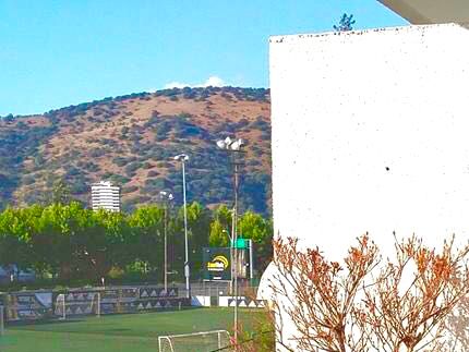 (Cod. HM9V) Hermoso Huerto de Muro, incluye 9 plantas a elección y 2 macetas colgantes, medidas 175cm de alto x 80cm de ancho. Instalación GRATIS dentro de RM. Valor $95mil. Contacto +56999390065. TODAS NUESTRAS MACETAS SON DESMONTABLES
