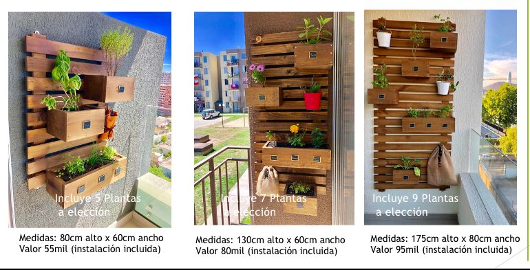 PRODUCTOS DESTACADOS 👏🏻🥰🌿