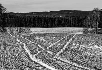 Valgets kval