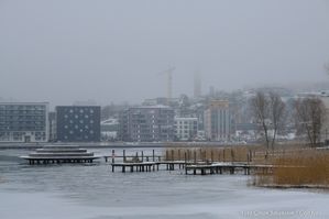 20210219-143052_GJ410_4828_