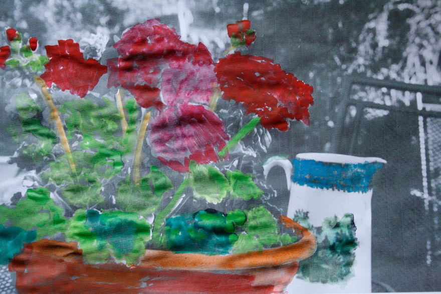 my geranium picture!