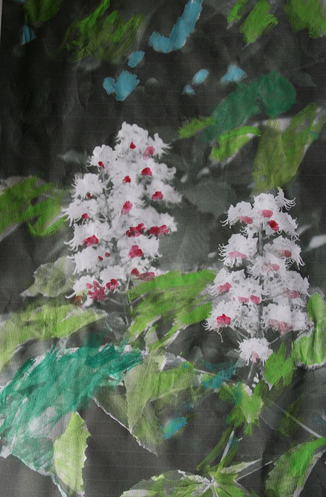 the horse chestnut flower