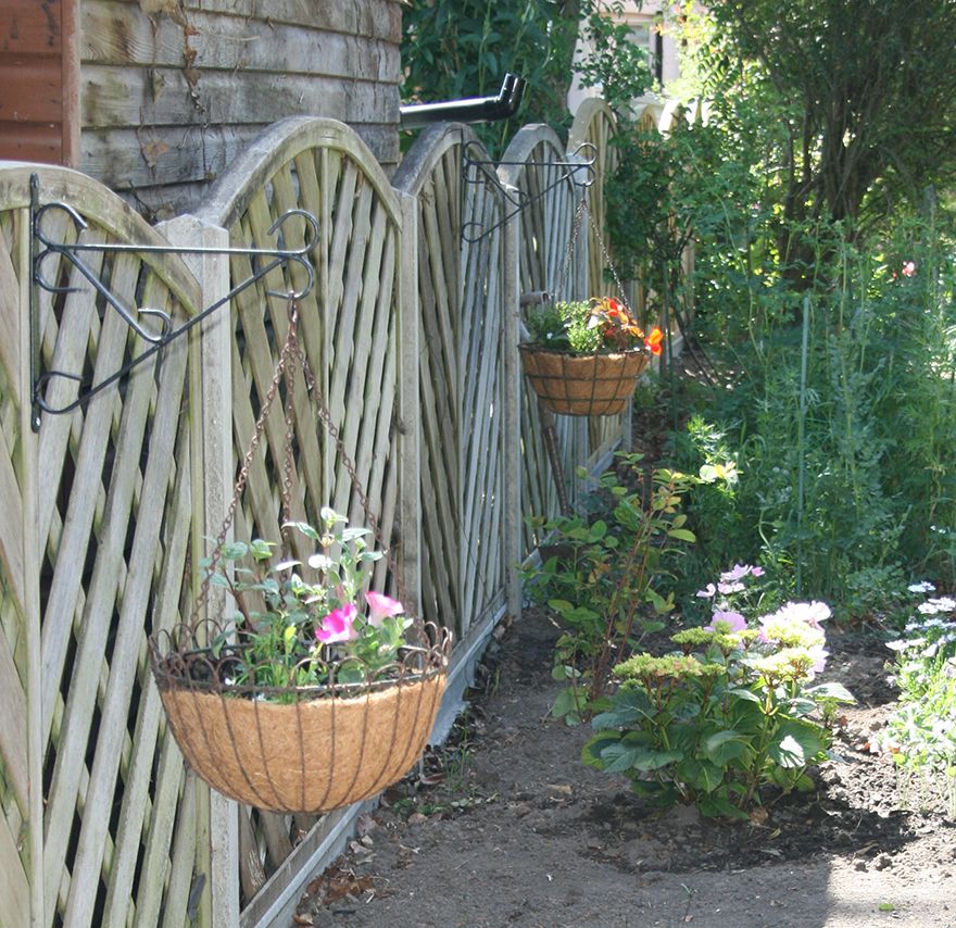 the hanging baskets and new shrubs make us feel we're getting there...