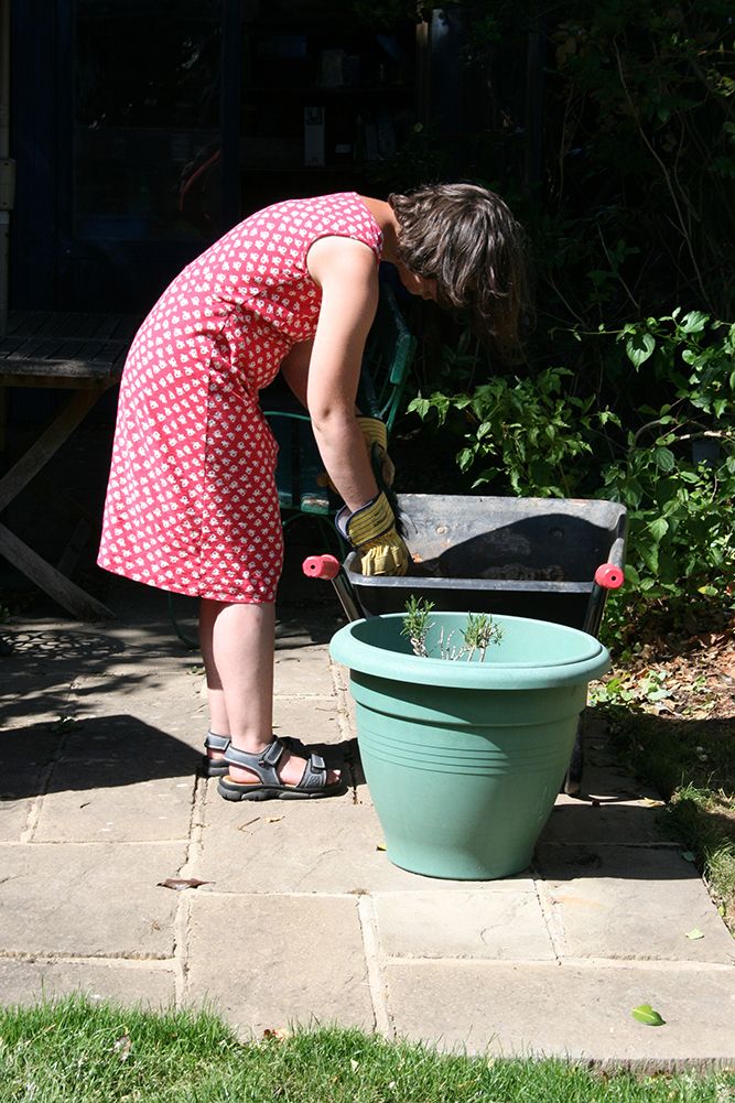 back to work, clipping and pruning again. Go to page four to continue...