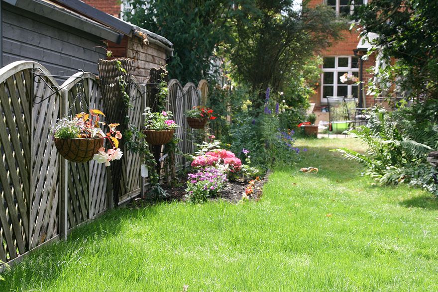 and after all our hard work the garden is looking good!