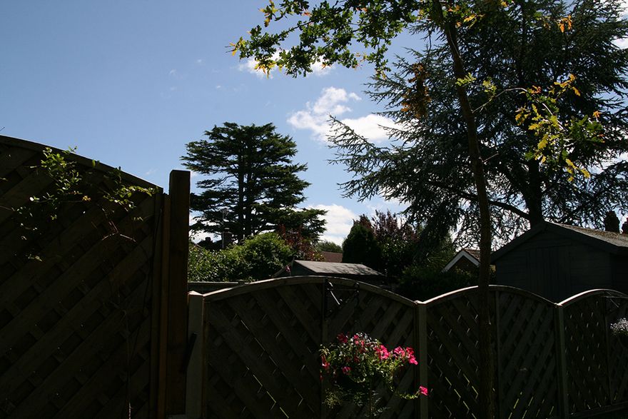 with the new fence comes a new view!