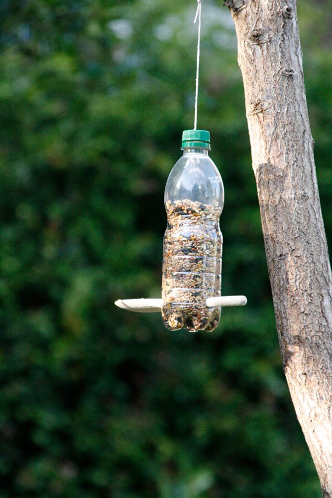 our birdfeeder in closeup...