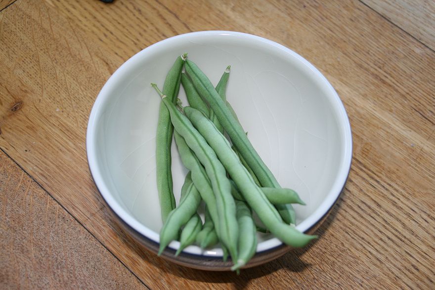 some of this year's crop - our home-grown French Beans...